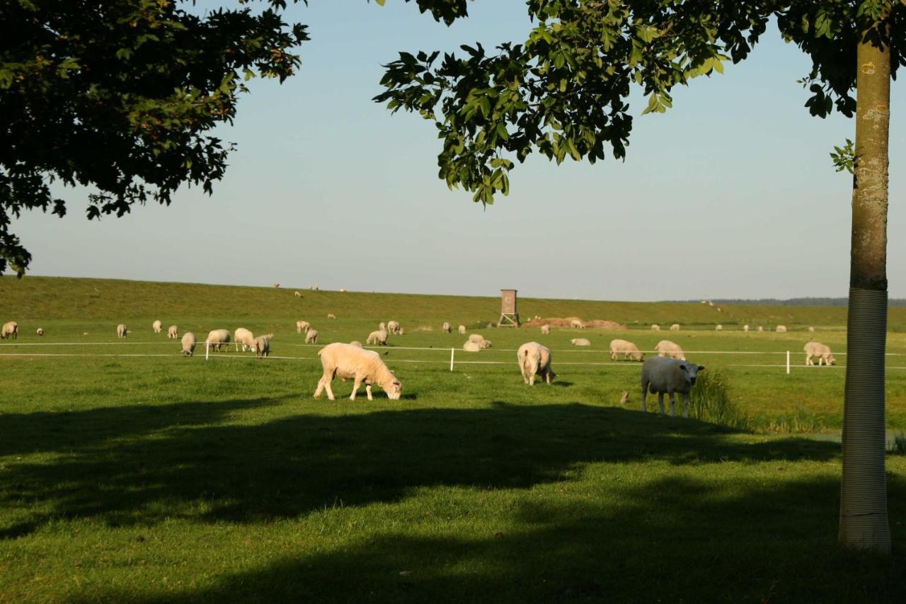 Ferienwohnungen Im Womoland Auf No ノルトシュトラント エクステリア 写真